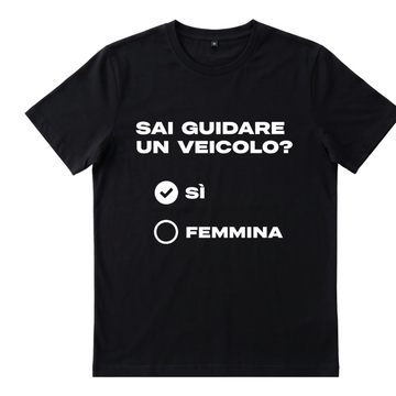 SAI GUIDARE UN VEICOLO?