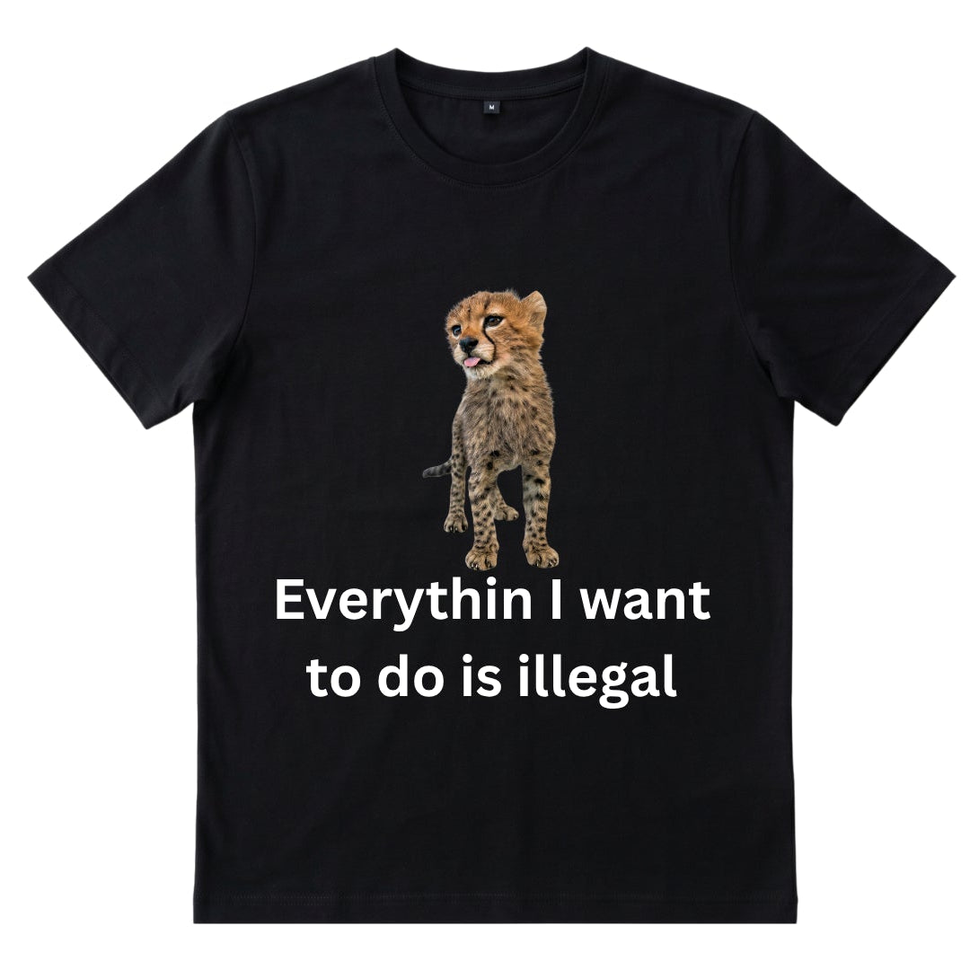 Ogni cosa è illegale