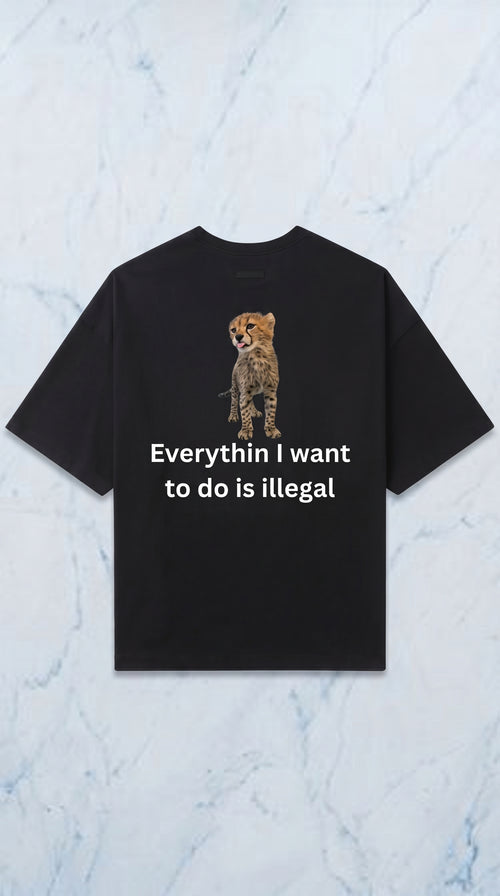 Ogni cosa è illegale